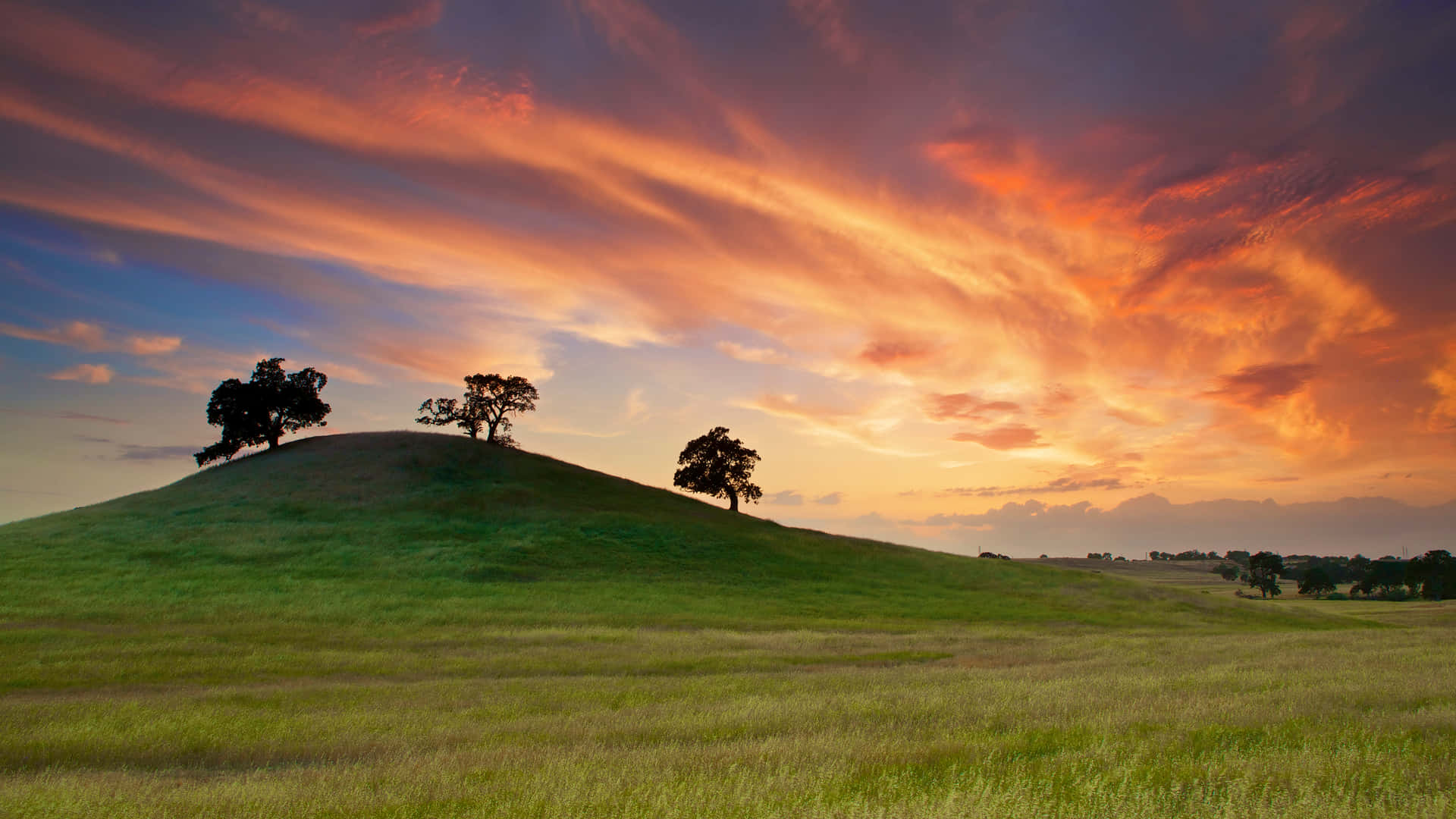 Cool Landscape With A Hill