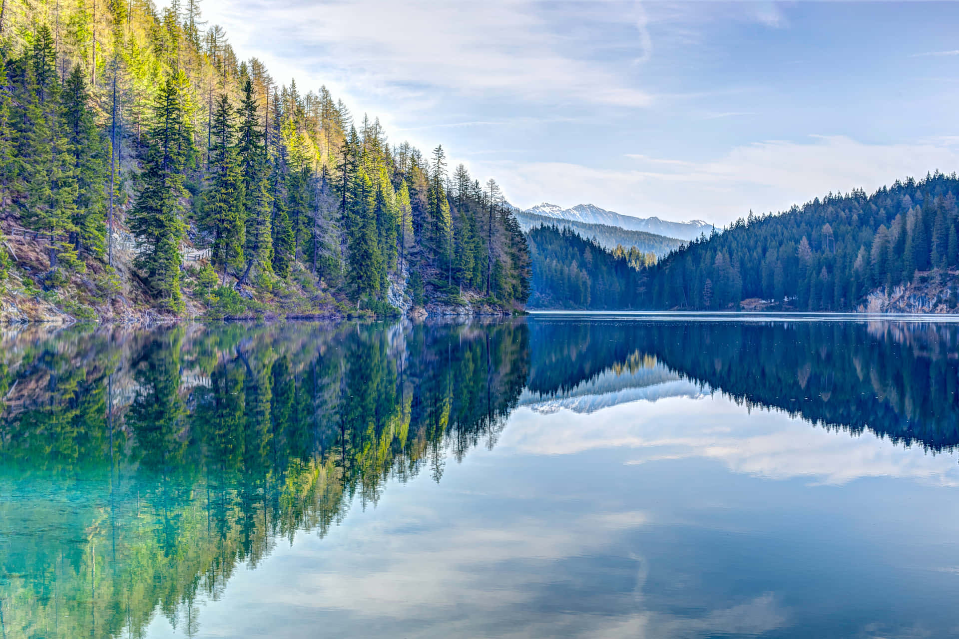 Cool Landscape With A Thriving Forest