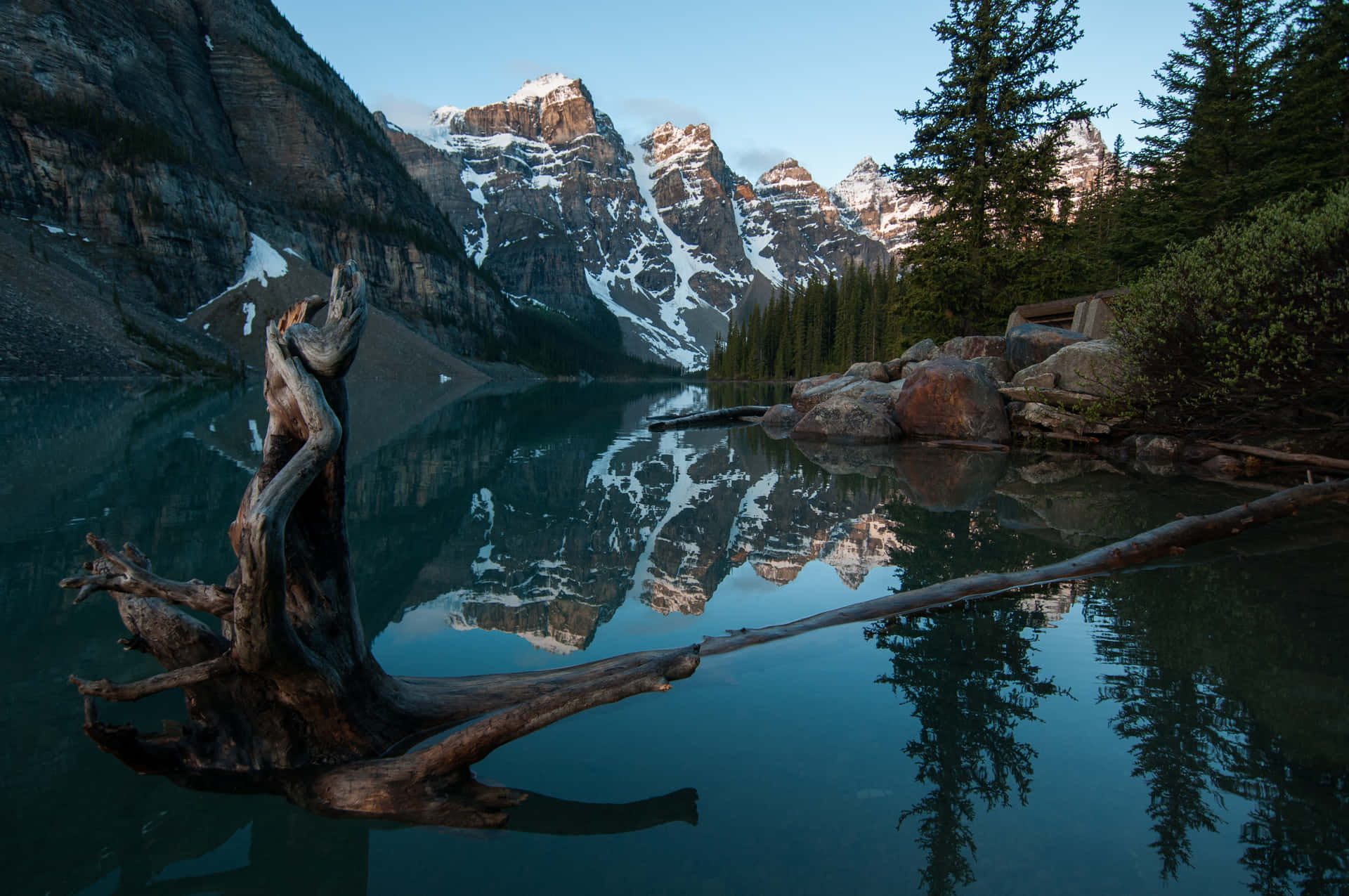 Cool Landscape With A Tree Stump