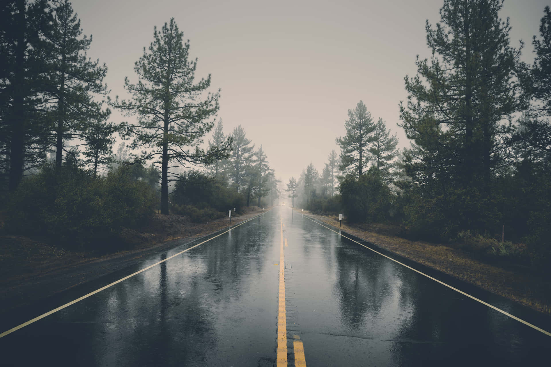 Cool Landscape With A Wet Road