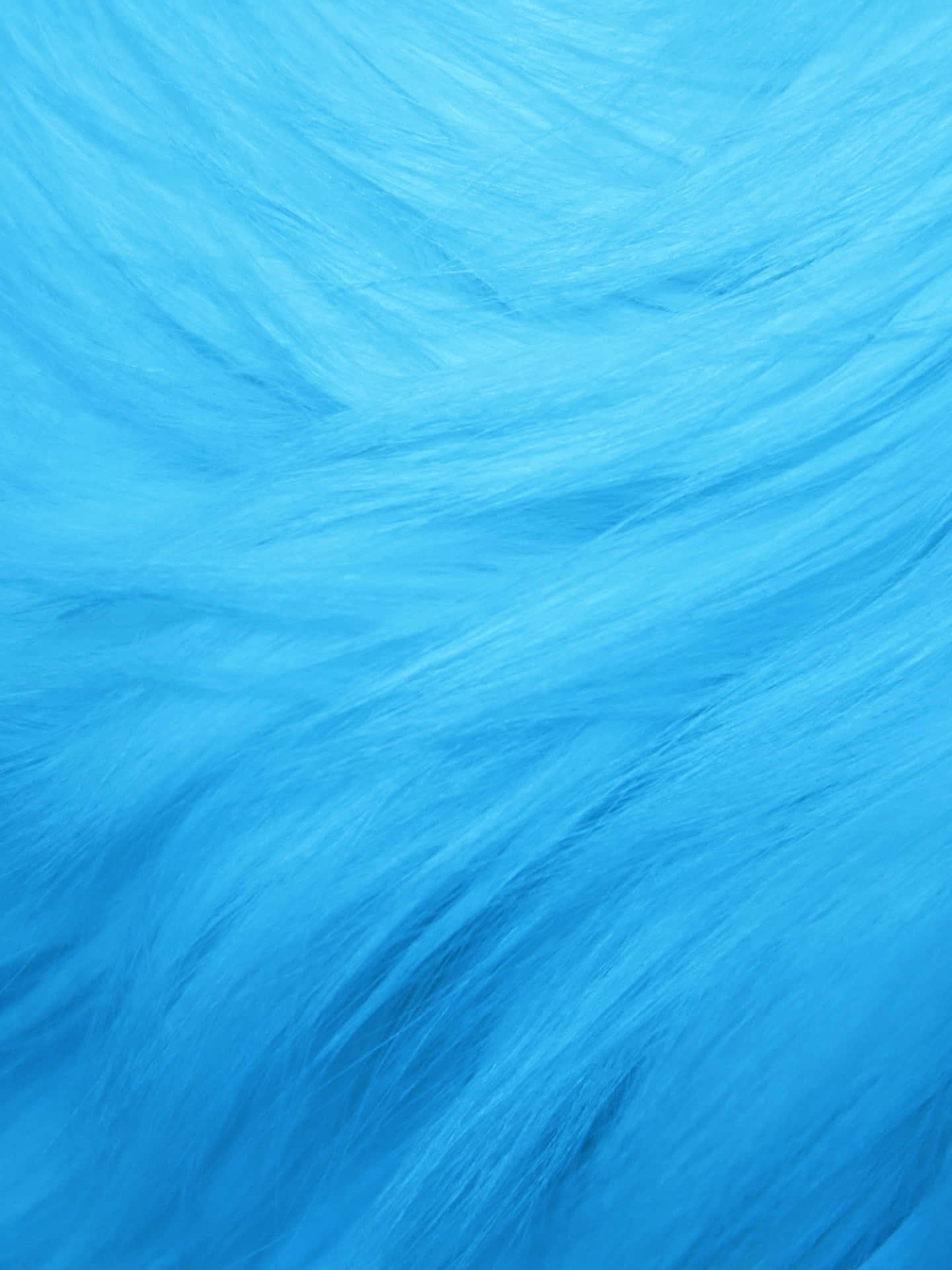 Cool Light Blue Furry Background