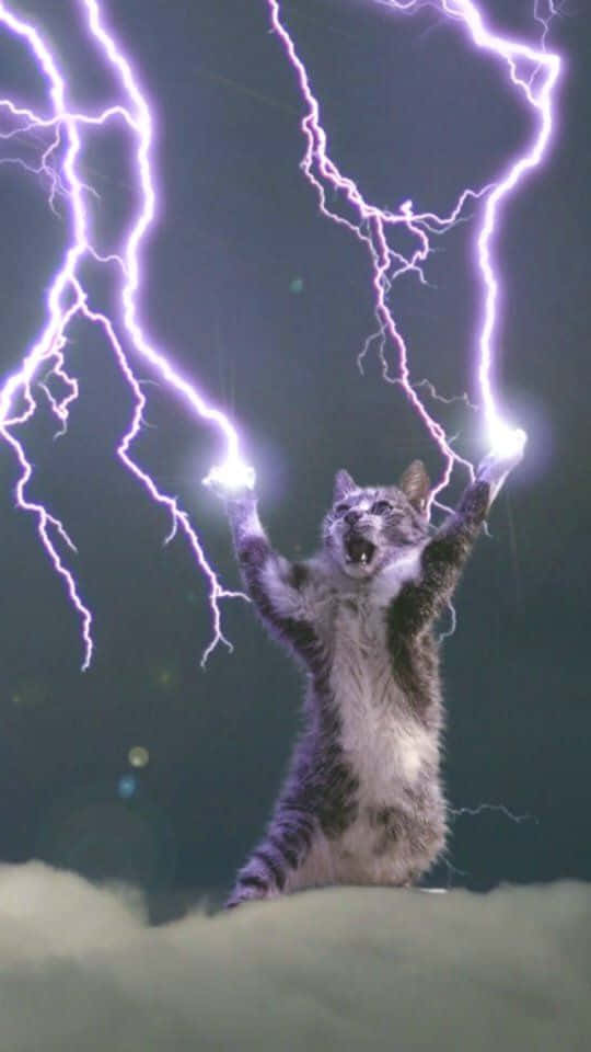 Cool Lightning Powers Of Cat Background