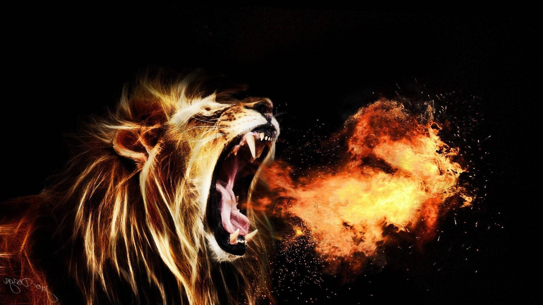Cool Lion Breathing Fire Background