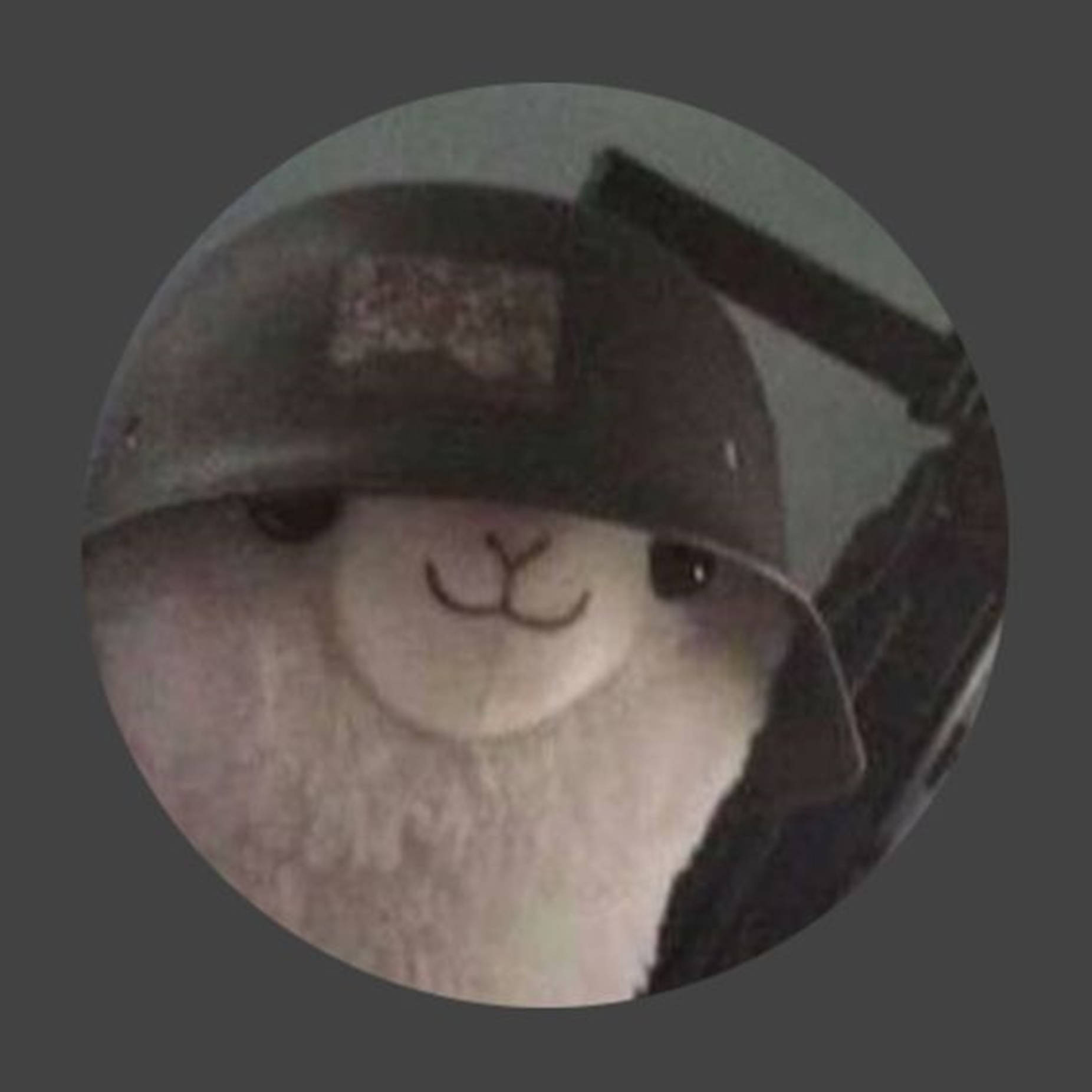 Cool Llama Looking Cool In His Cap Background