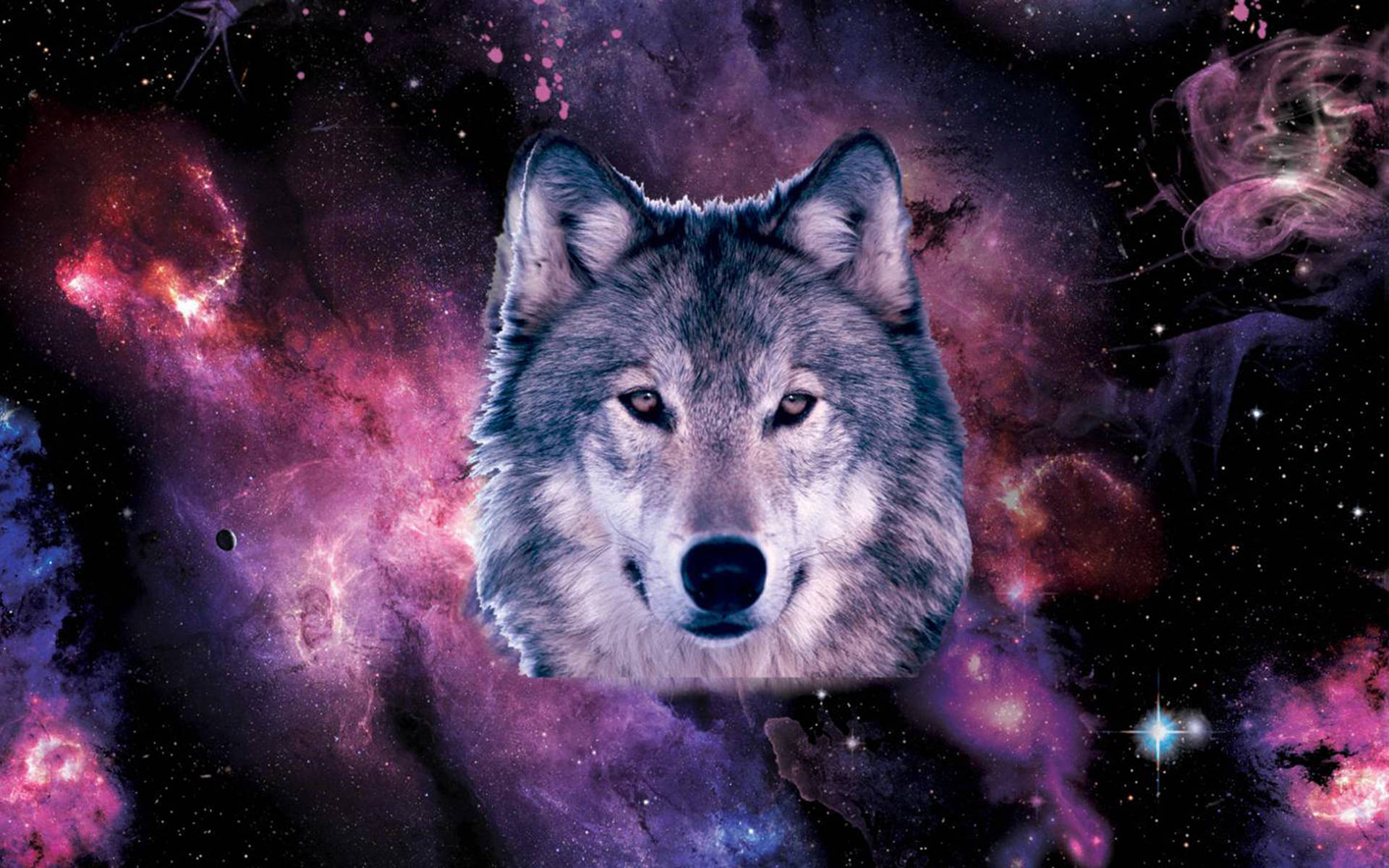 Cool Magenta Galaxy With Wolf Head Background