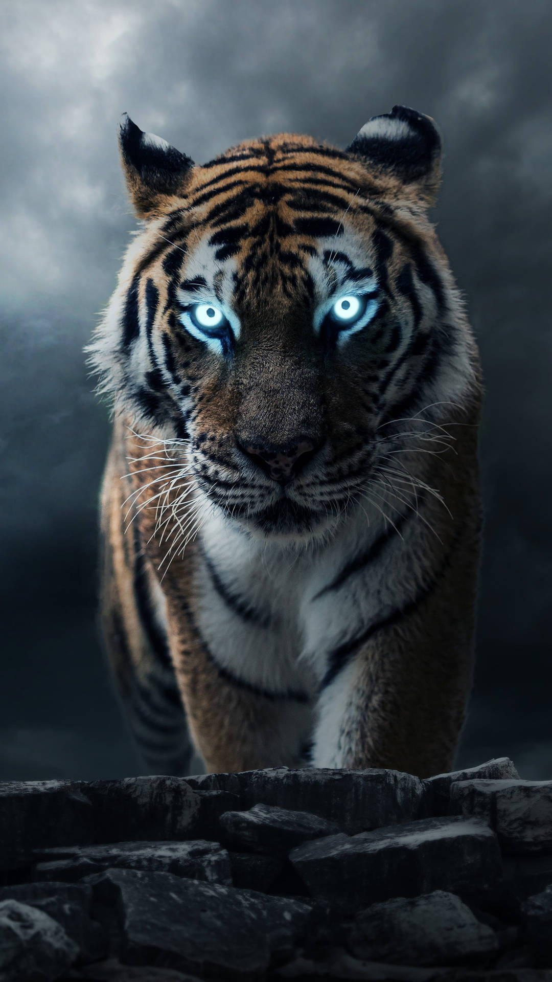 Cool Menacing Tiger Photo Background