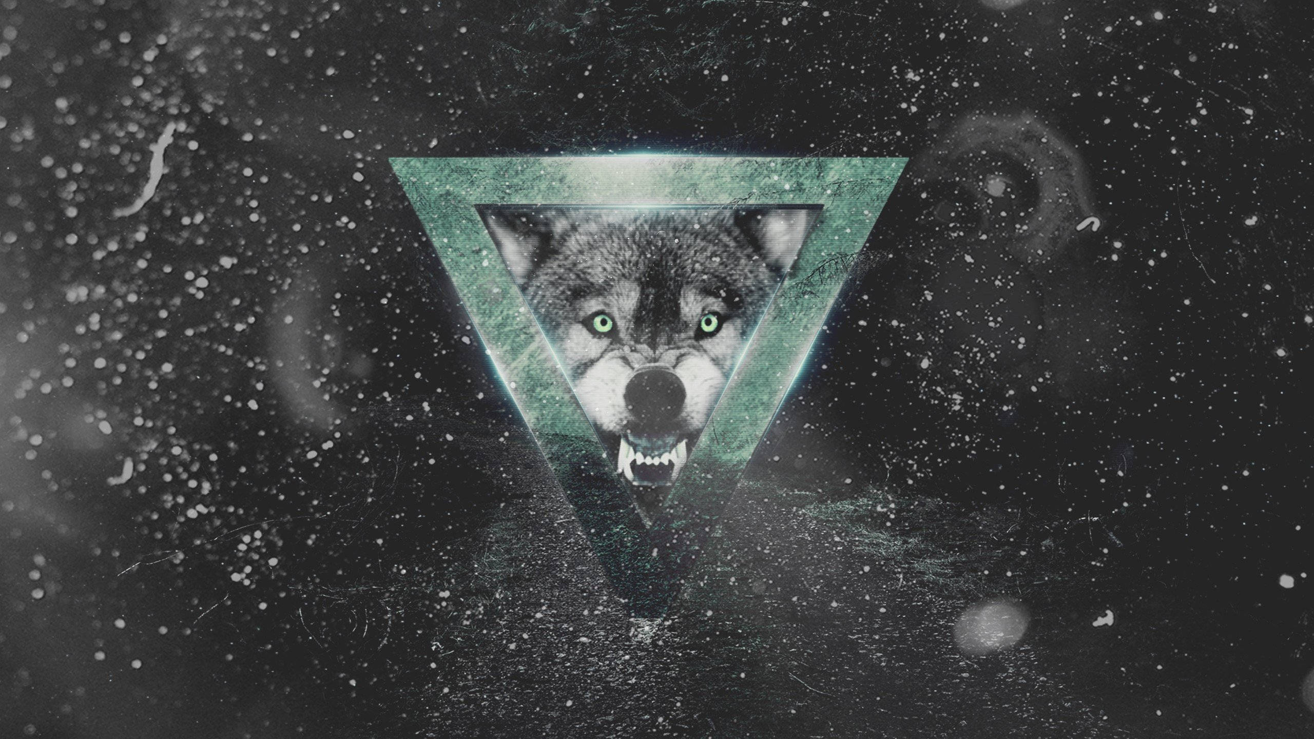Cool Monochrome Galaxy With Angry Wolf Background
