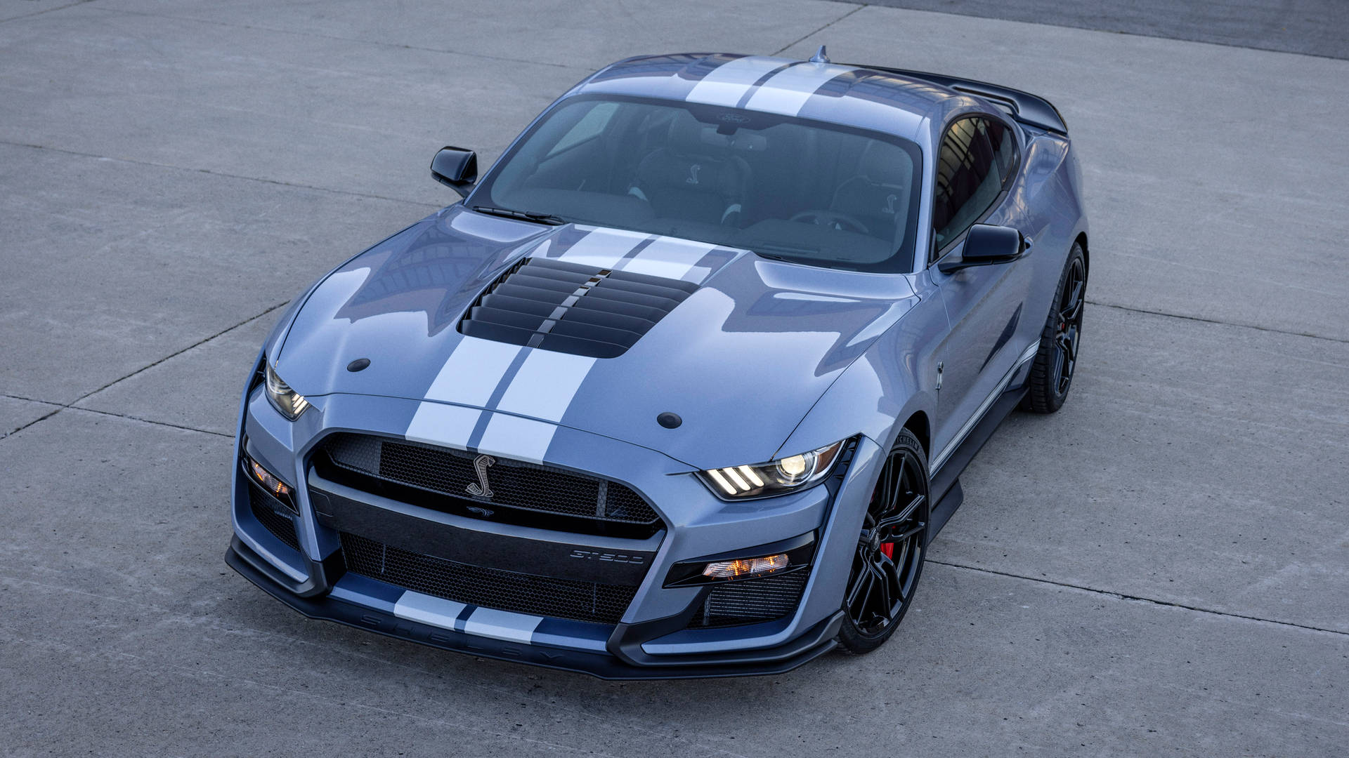 Cool Mustang Blue Background