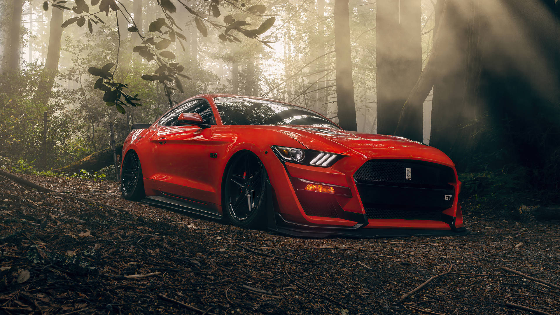 Cool Mustang In Forest Background