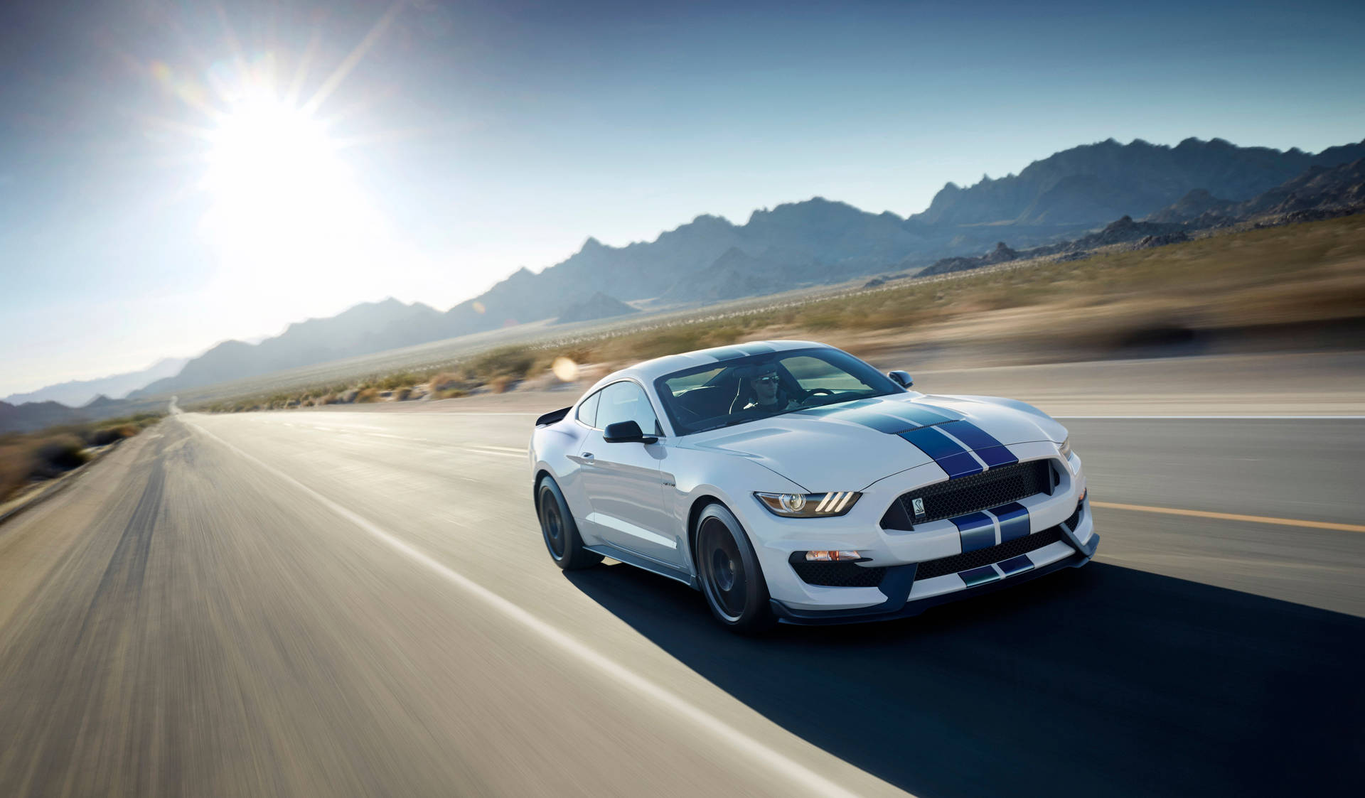 Cool Mustang White Background