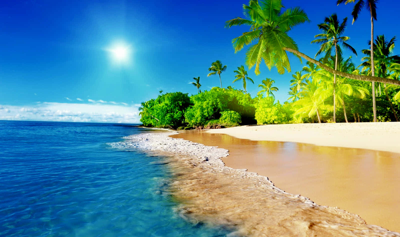 Cool Nature Beach Tropical Scene Background