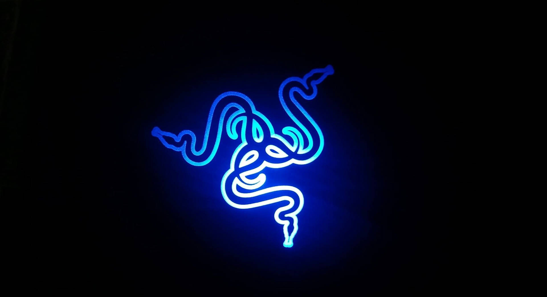 Cool Neon Blue Snakes Background