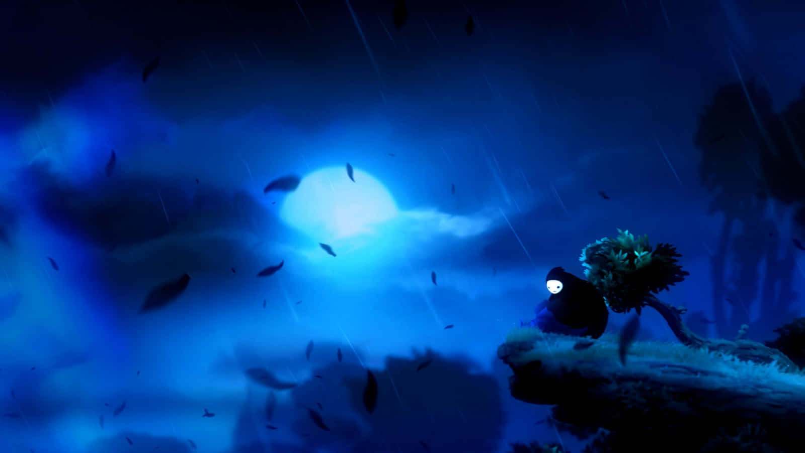 Cool Ori And The Blind Forest Desktop Background