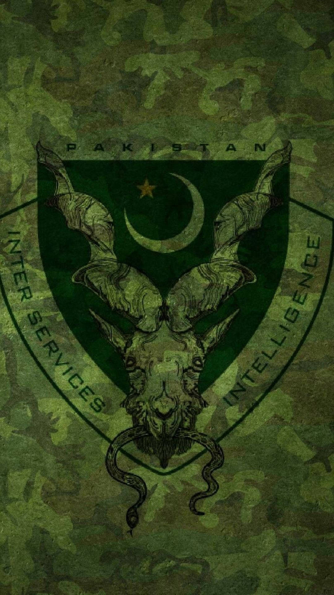 Cool Pakistan Team Logo Background