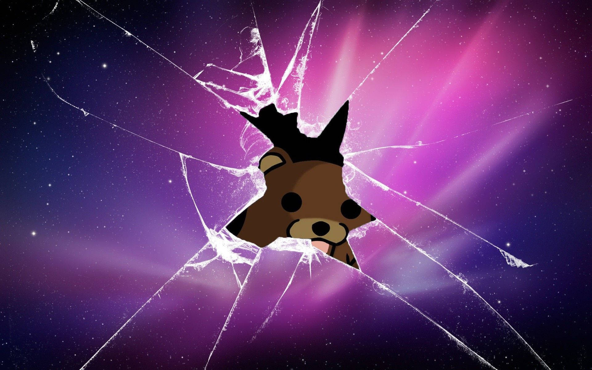 Cool Pfp Bear Peeking Behind Broken Glass