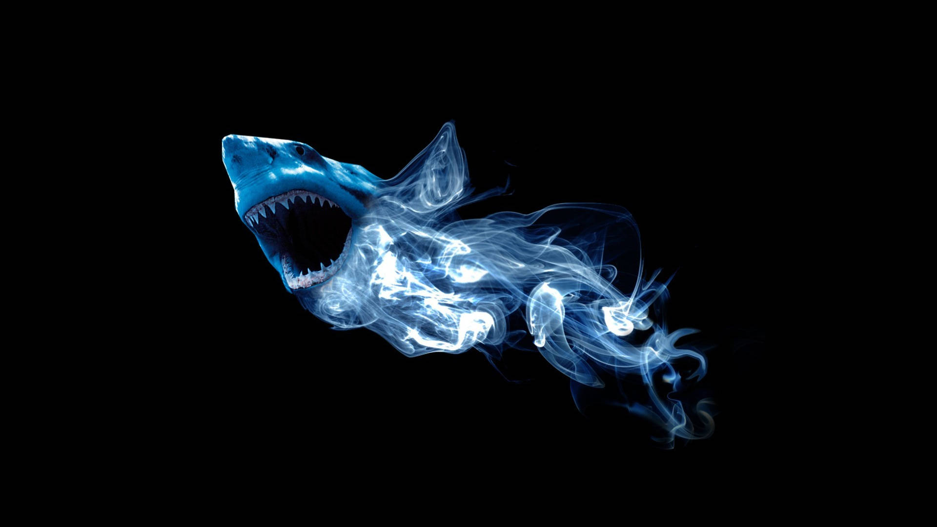 Cool Pictures Shark Digital Art