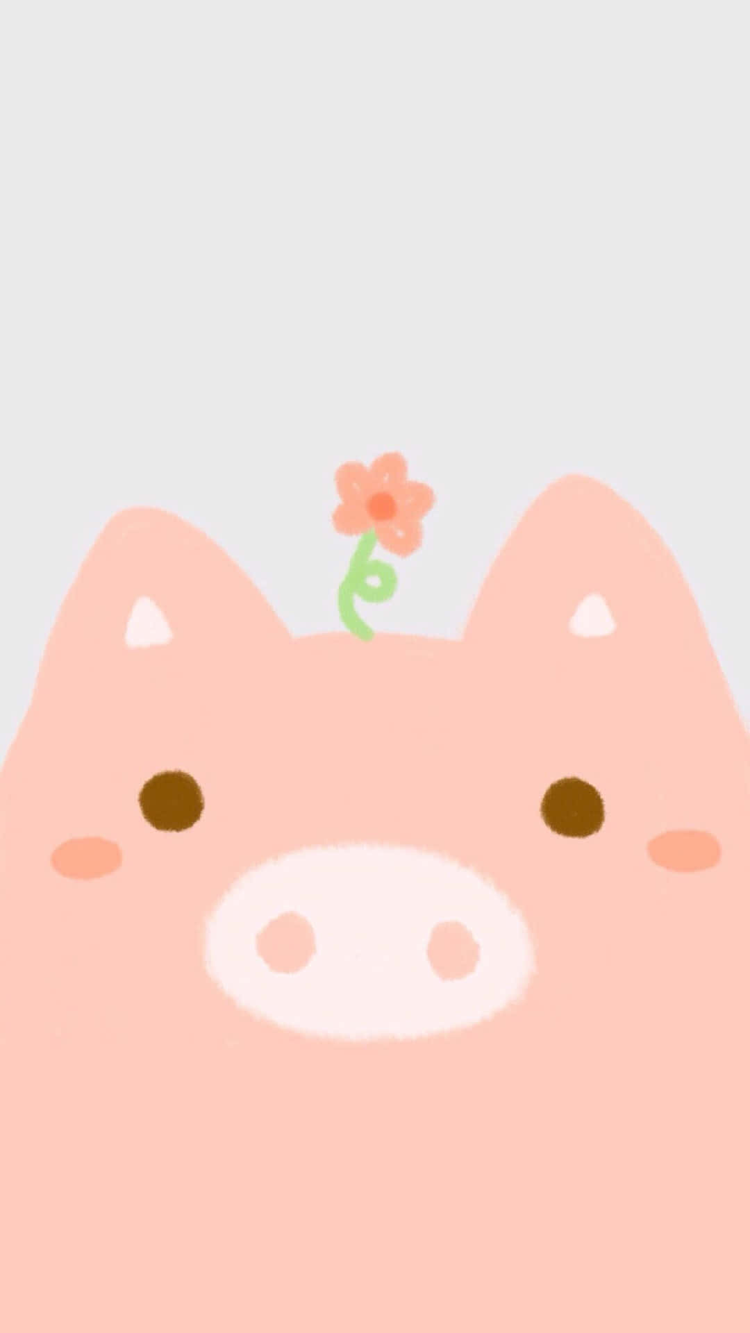 Cool Piggy And Flower