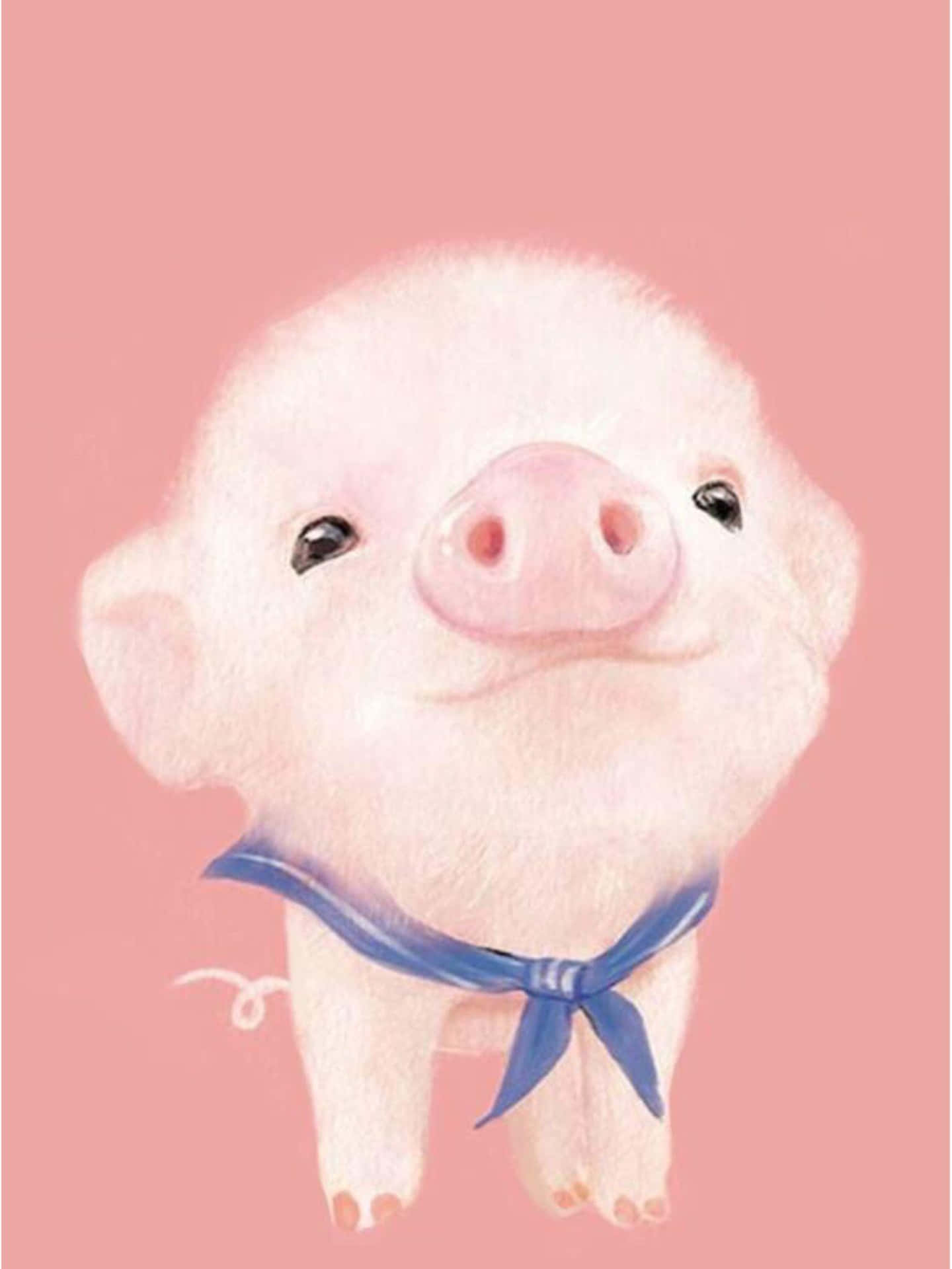 Cool Piggy With Ribbon Background