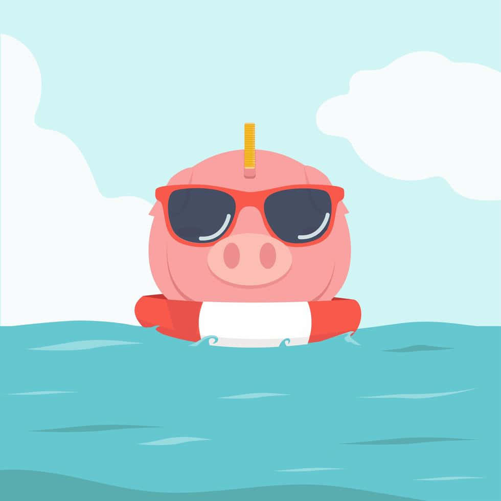 Cool Piggy With Sunglasses