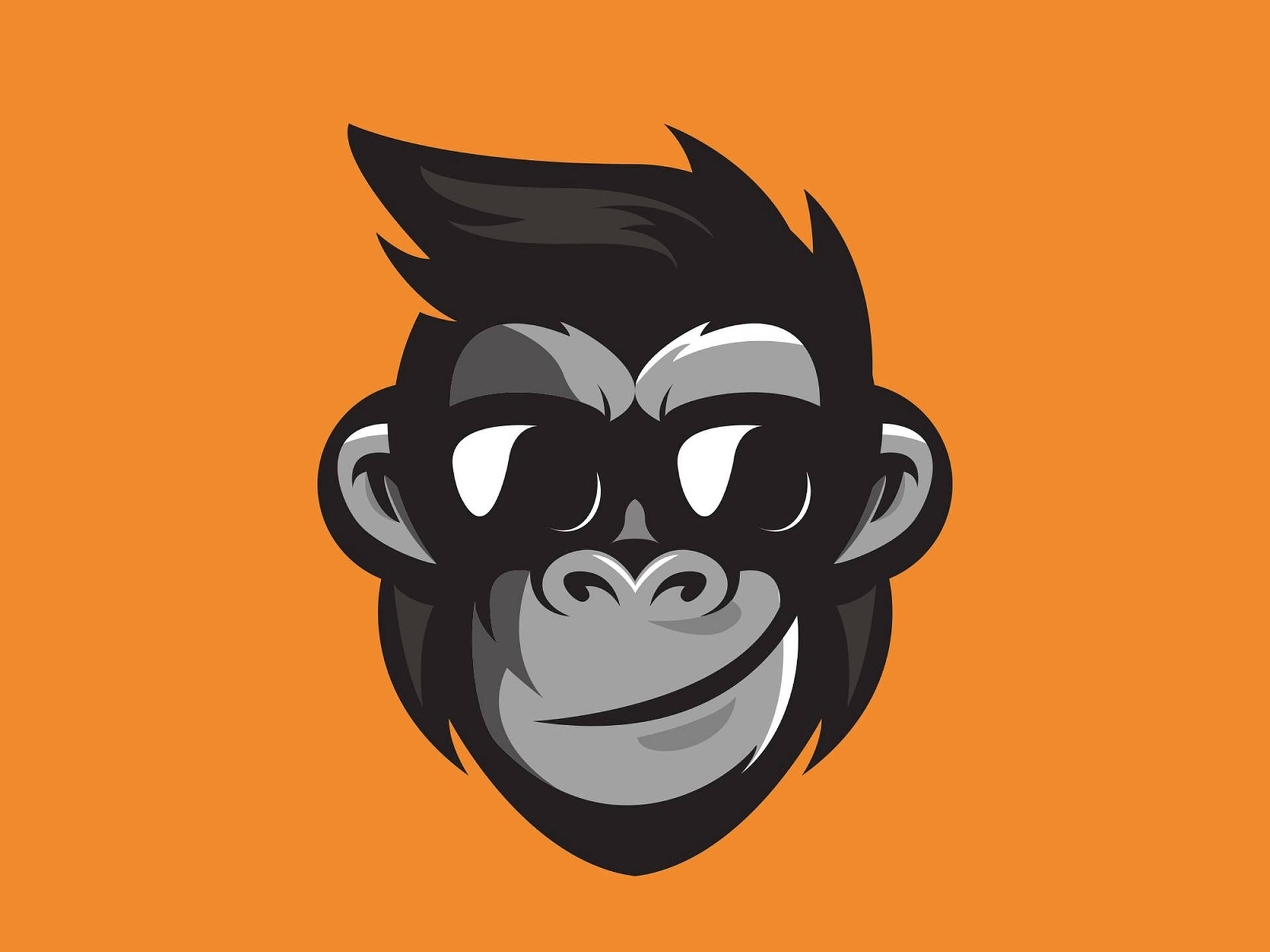 Cool Profile Pictures Monkey Face