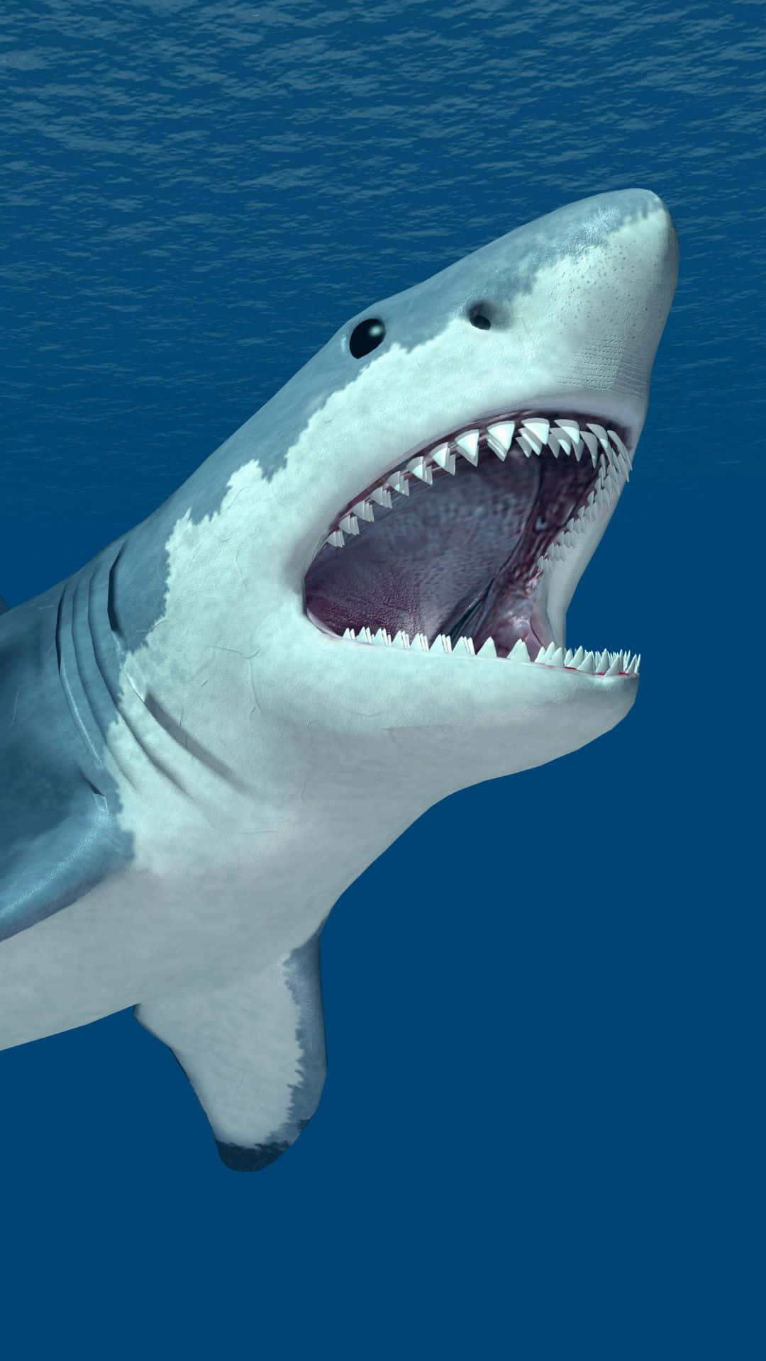 Cool Shark: The Coolest And Most Exciting Sea Resident Background