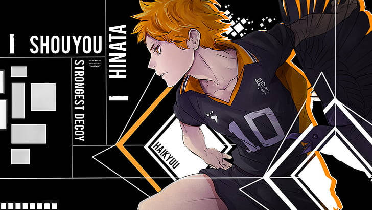 Cool Shoyo Hinata Haikyuu Desktop Background