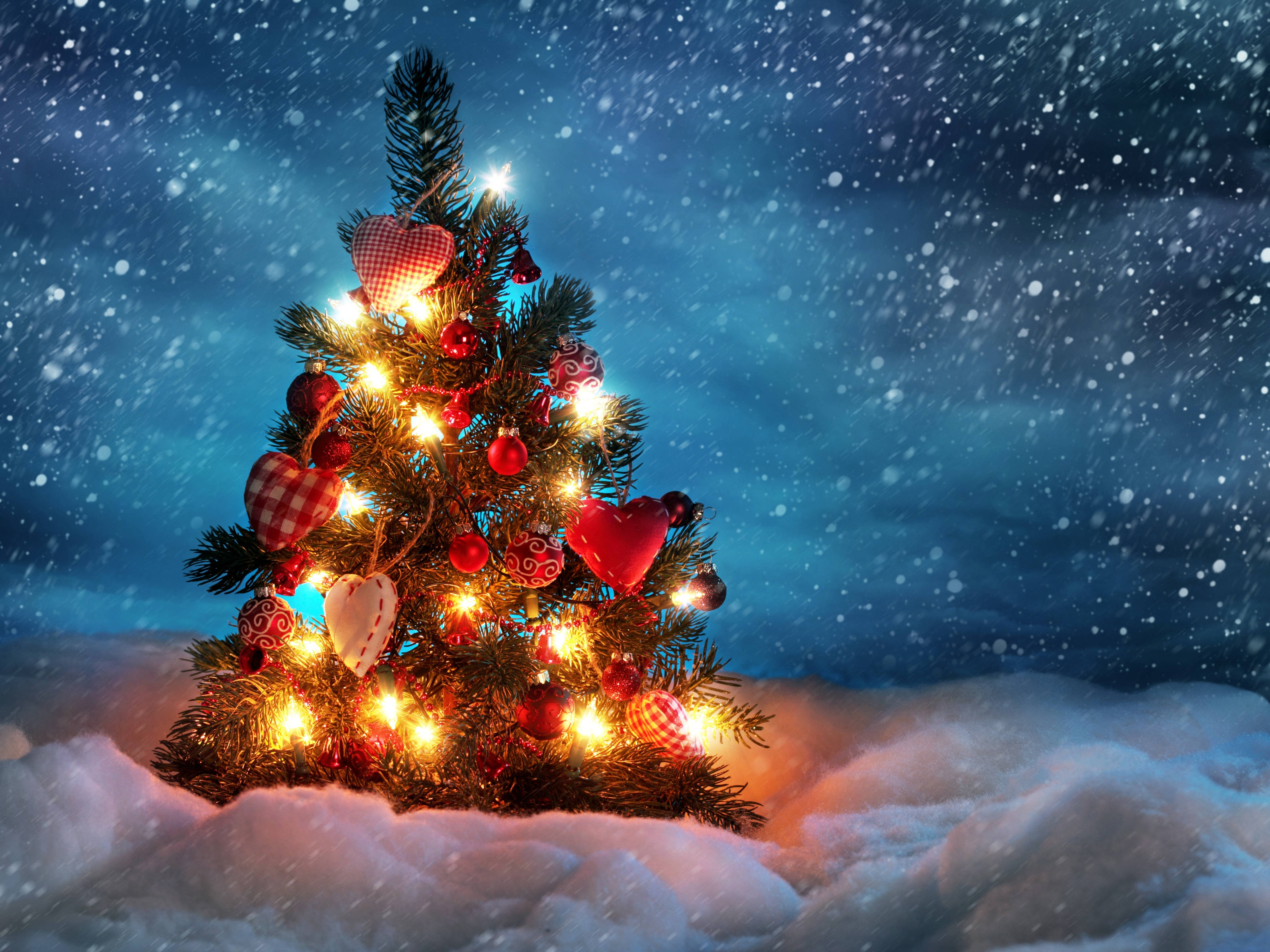 Cool Snowy Christmas Tree Display Desktop Background