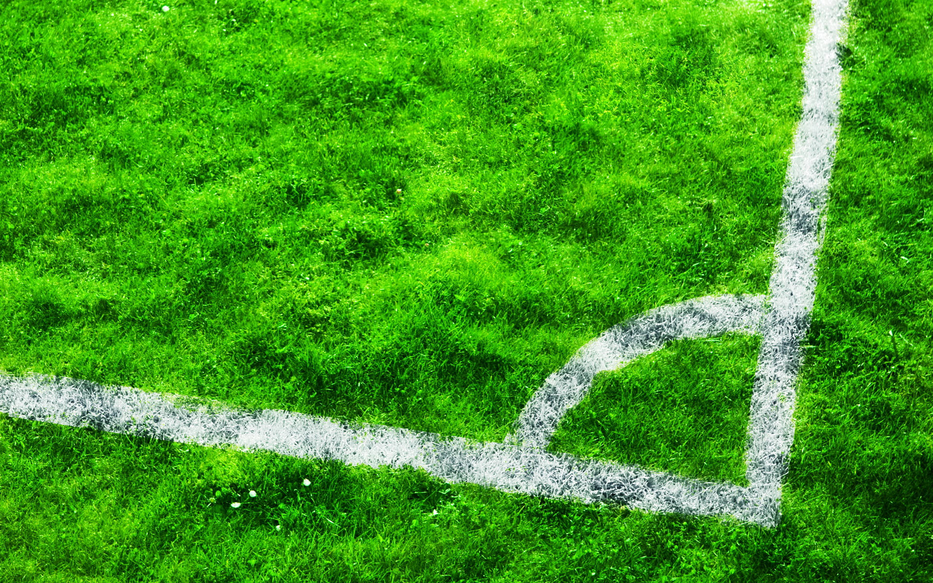 Cool Soccer Ground Background Background