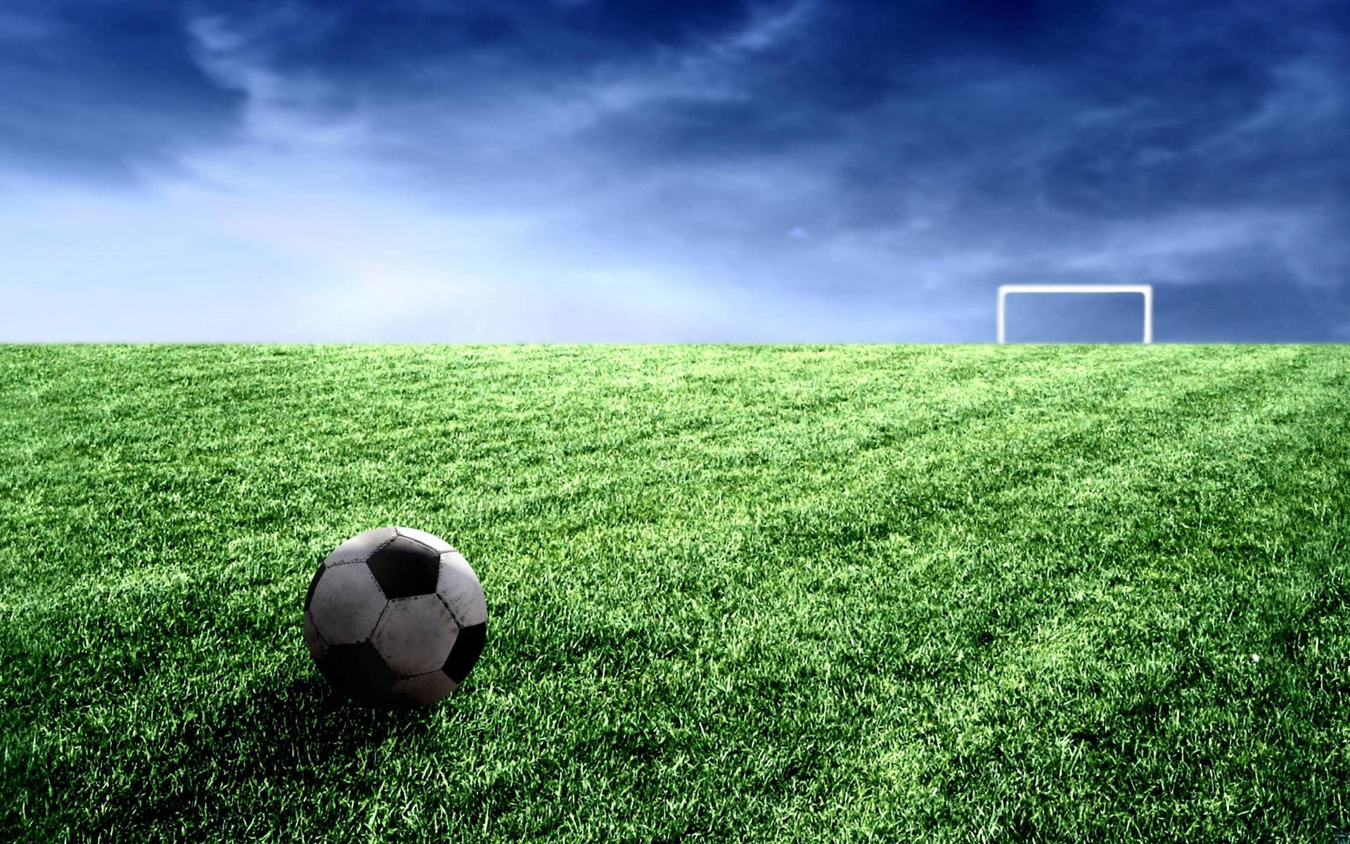 Cool Soccer Nature Field Background