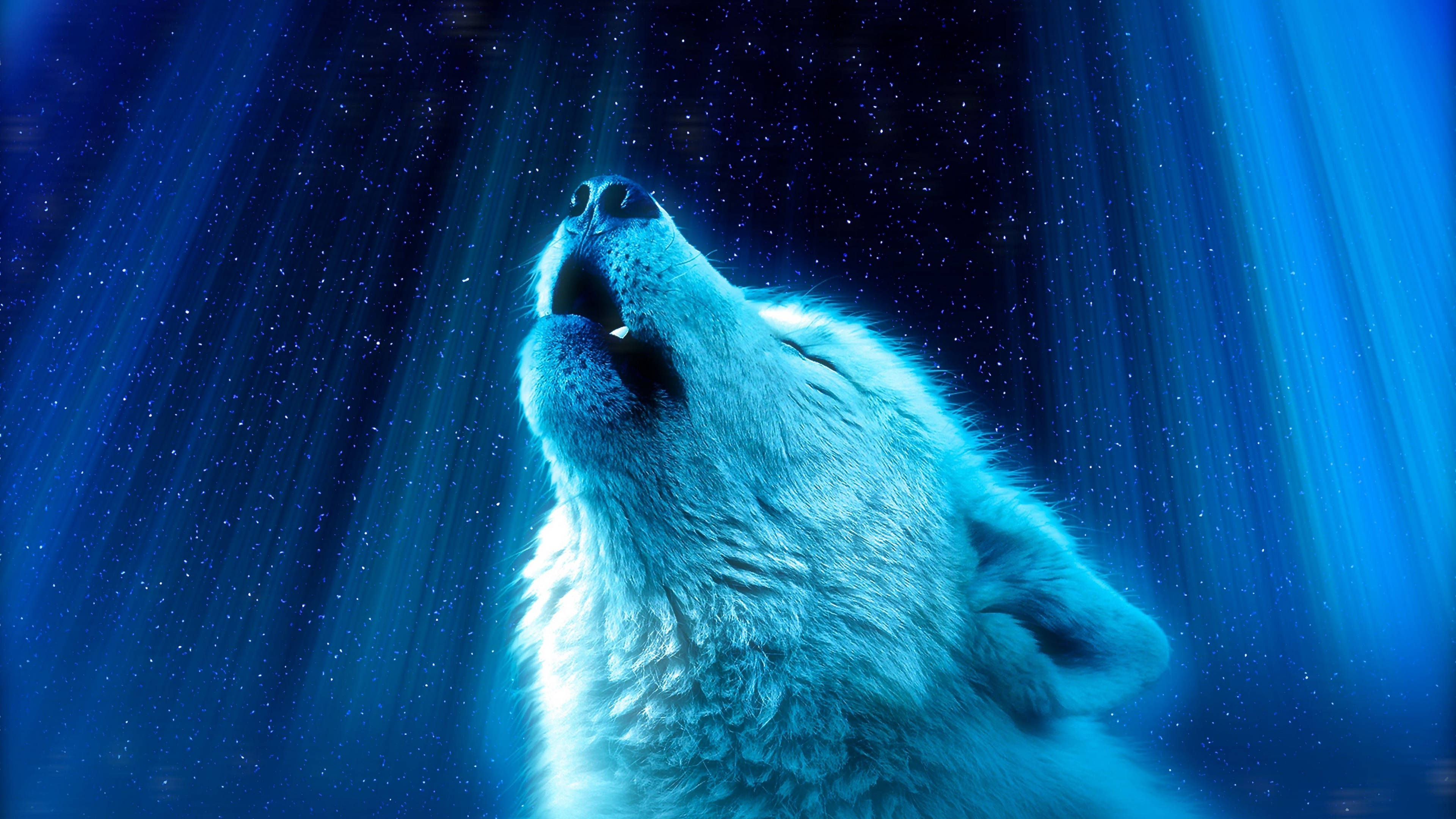 Cool Starry Galaxy Night Howling Wolf Background