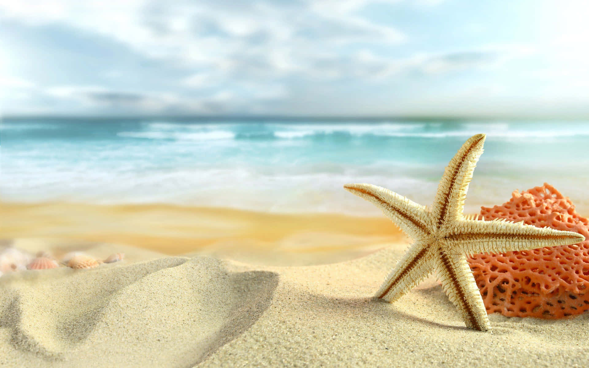 Cool Summer Starfish On The Sand Background