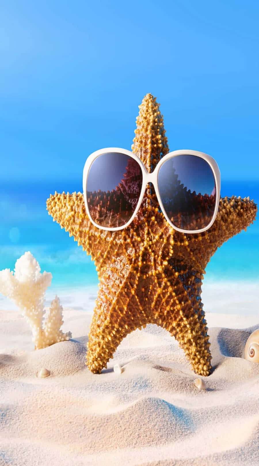 Cool Summer Starfish With Sunnies Background
