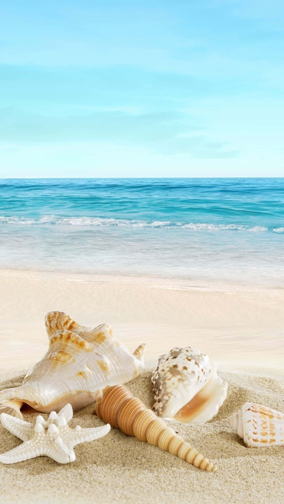 Cool Summer With Aesthetic Seashells Background