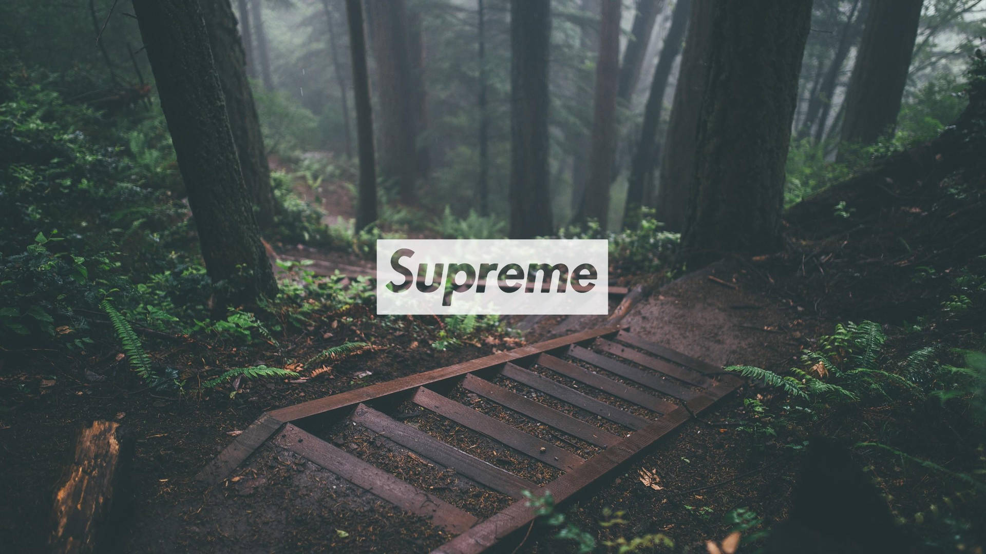 Cool Supreme Forest Staircase Background