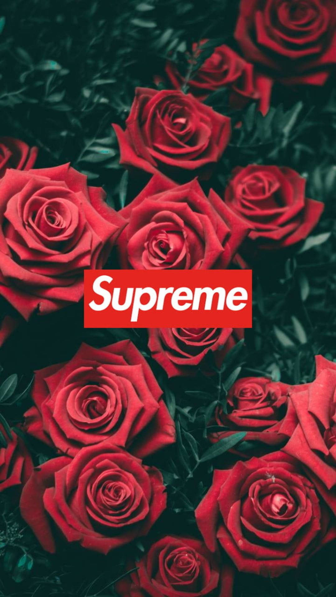 Cool Supreme Red Roses Background