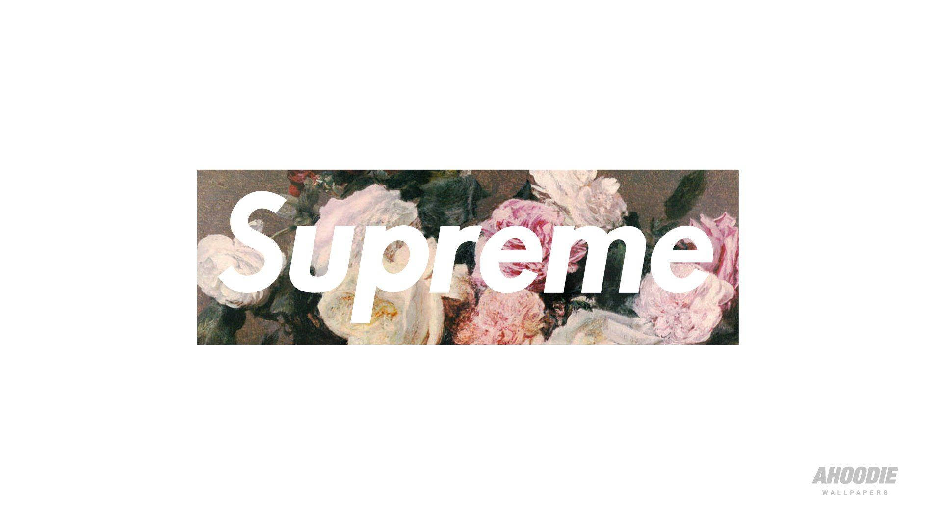 Cool Supreme White Roses Background