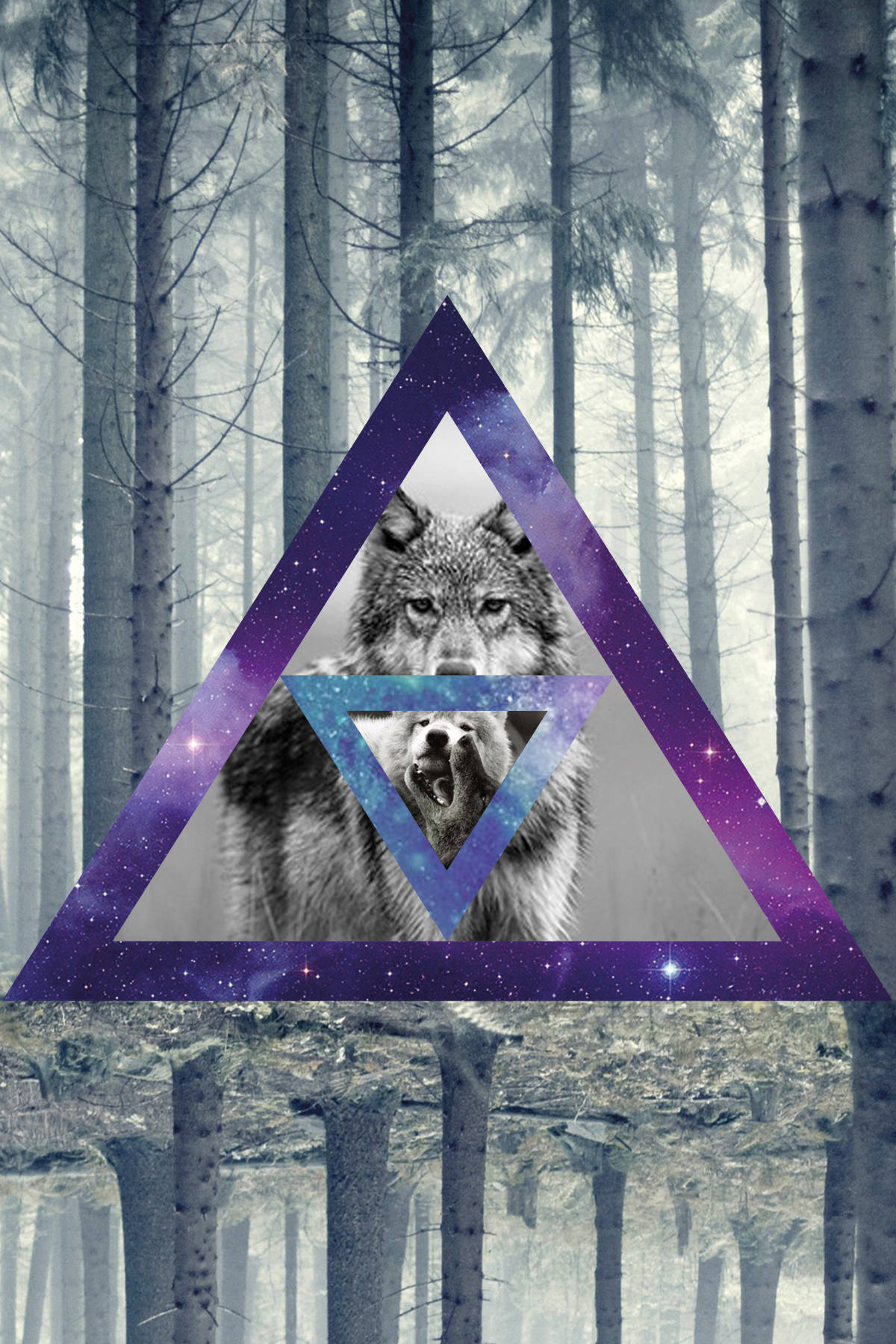 Cool Triangle Galaxy Graphic With Wolf Background