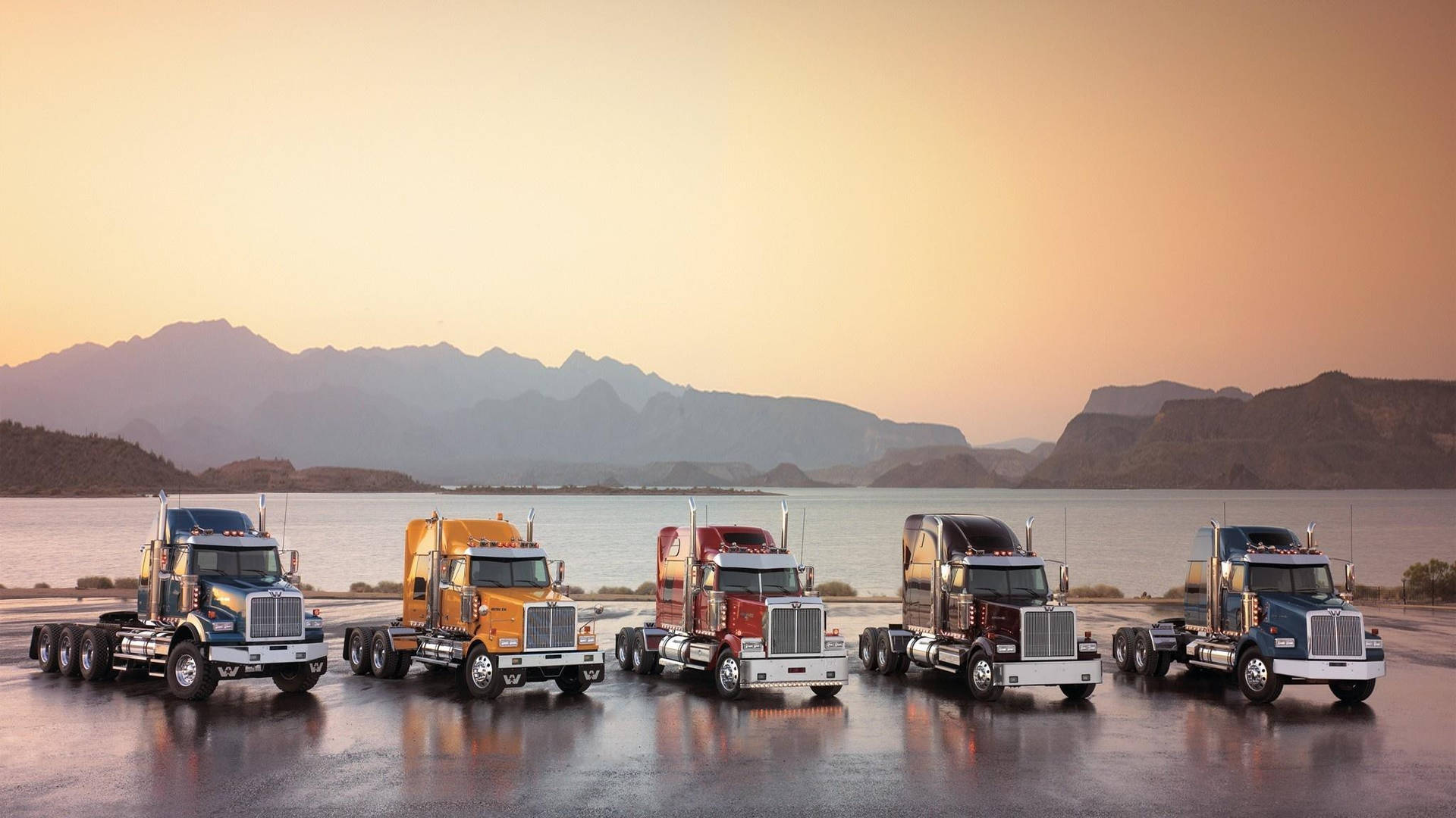 Cool Truck Types Lined Up Background