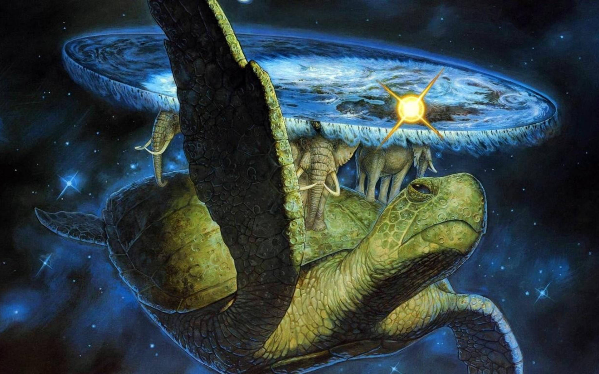 Cool Turtle And Elephant Art