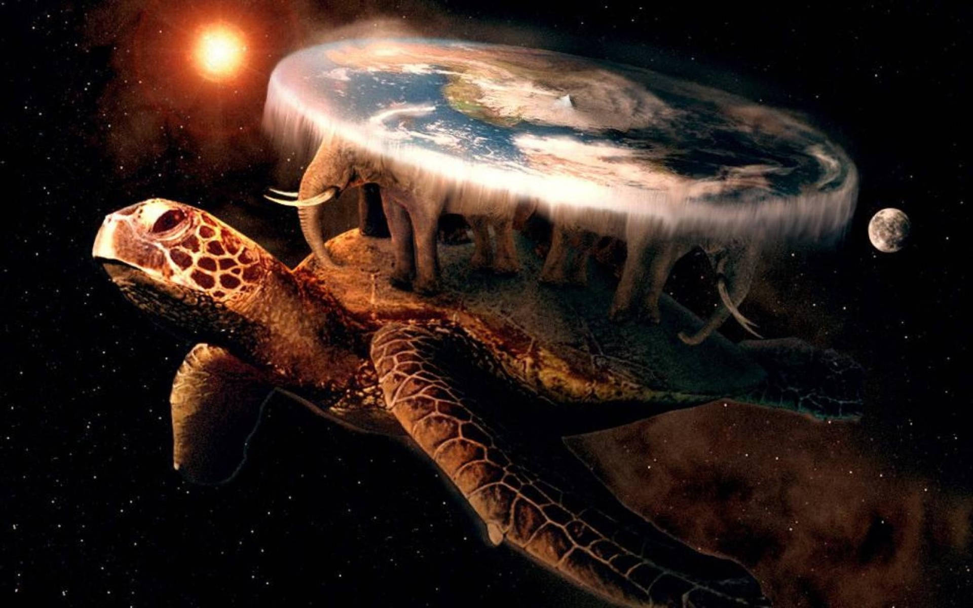Cool Turtle And Flat Earth Background