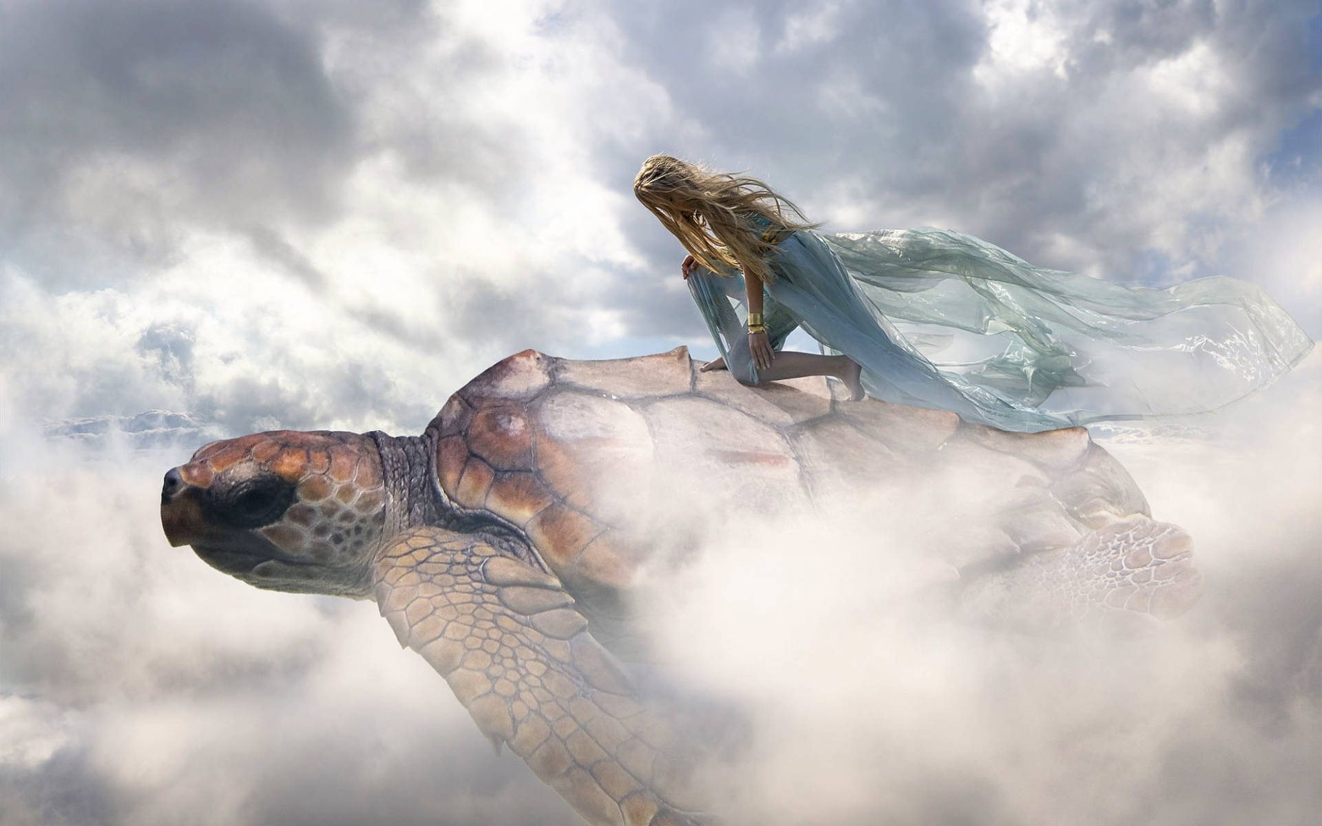 Cool Turtle And Woman Background