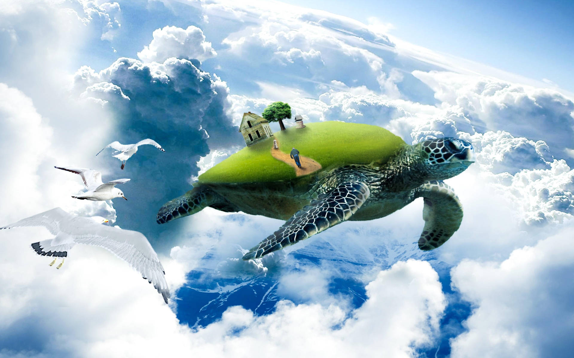 Cool Turtle Flying Above Clouds Background