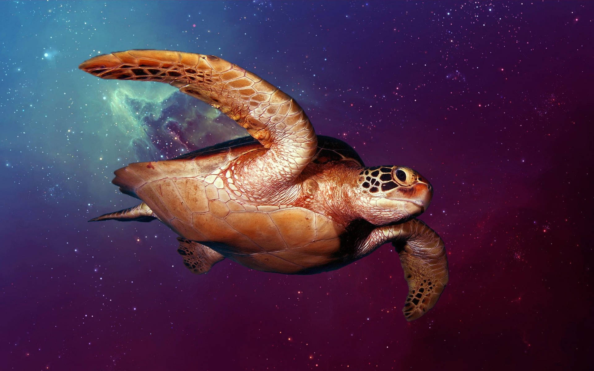 Cool Turtle In Outer Space Background