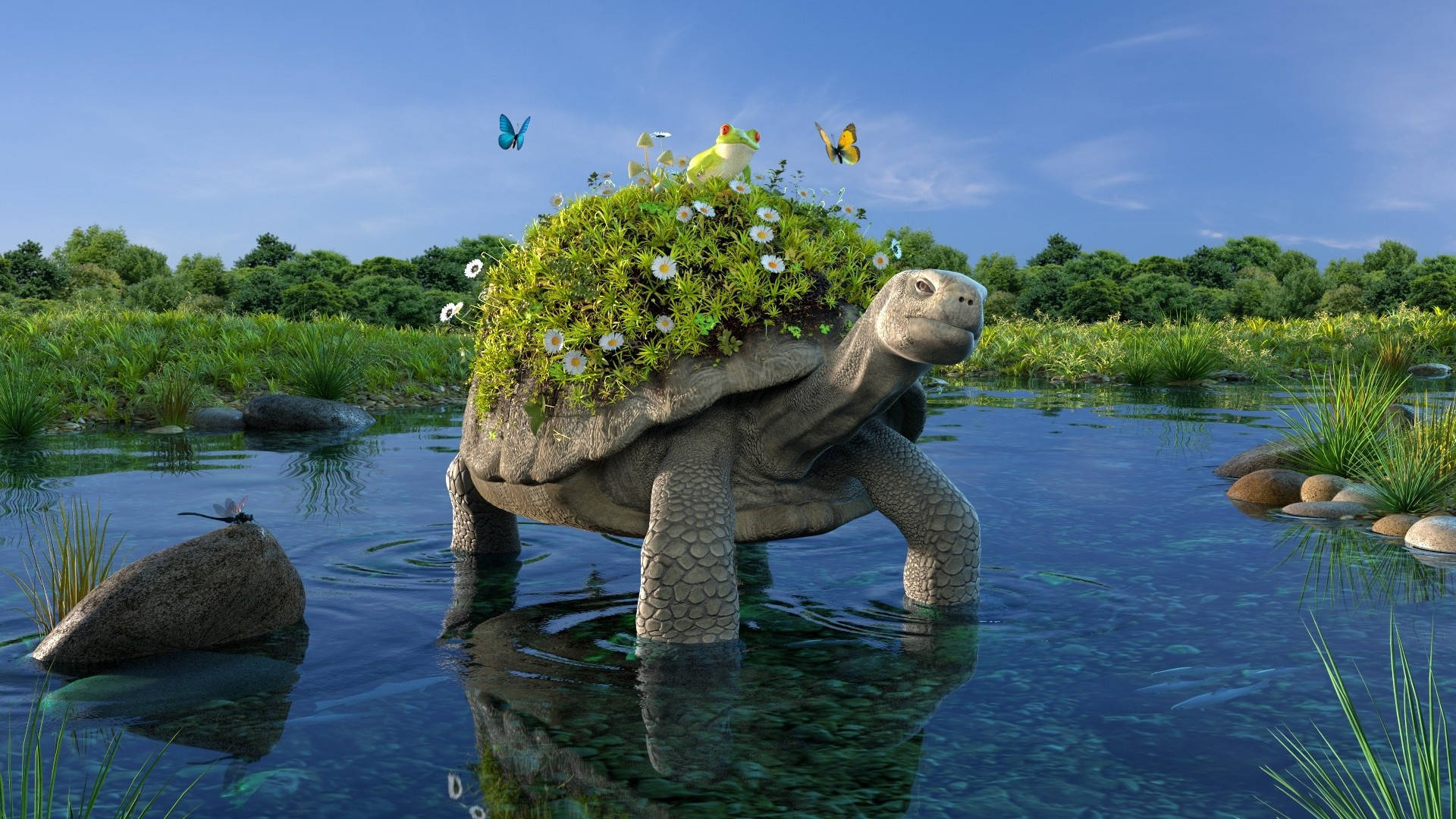 Cool Turtle With Flowery Shell