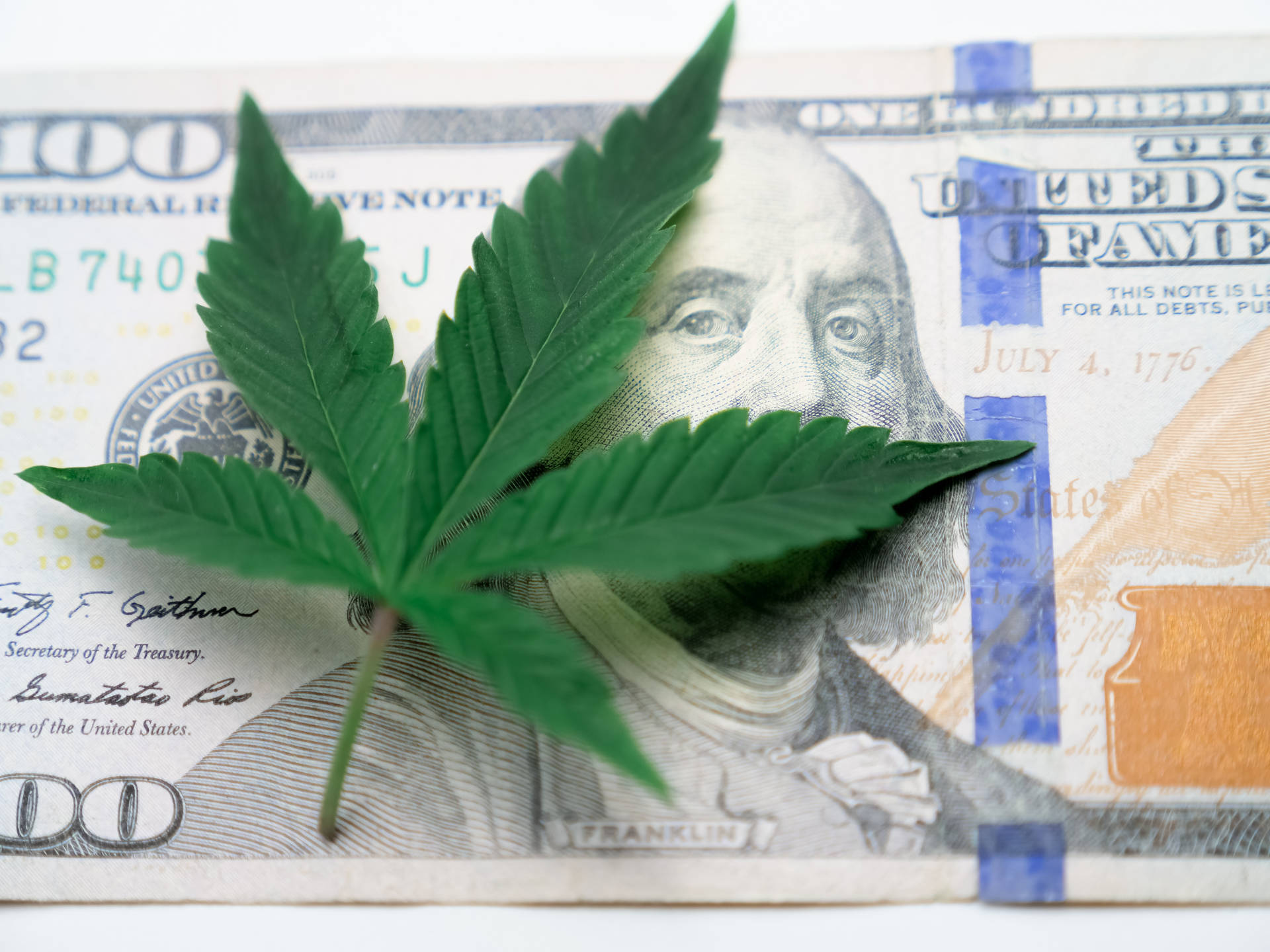 Cool Weed 100 Usd Background