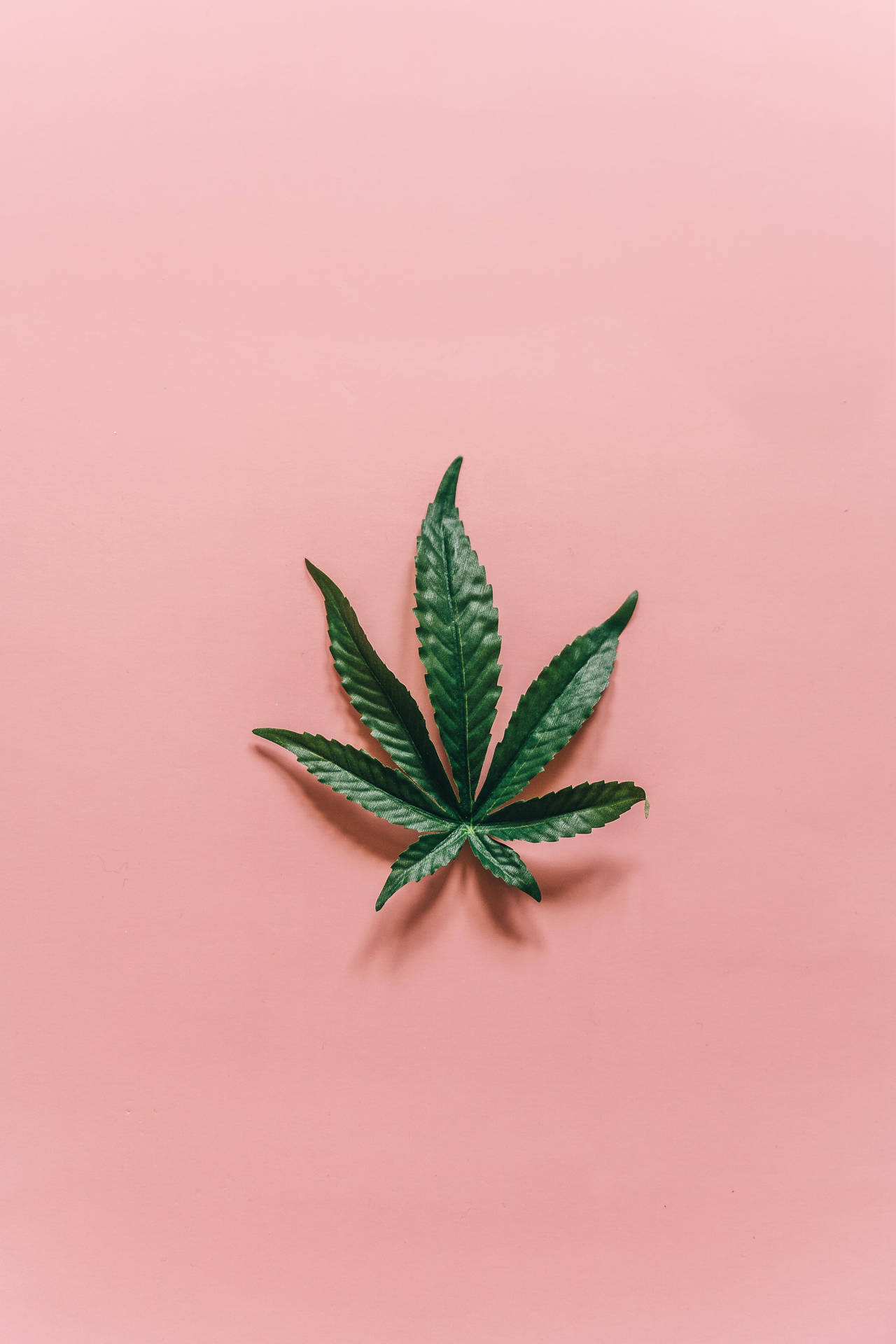 Cool Weed Pink Background Background
