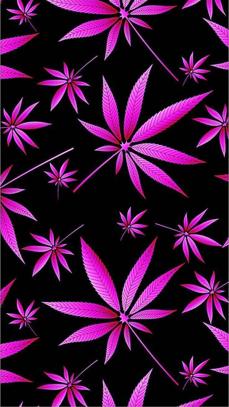 Cool Weed Pink Leaves Background