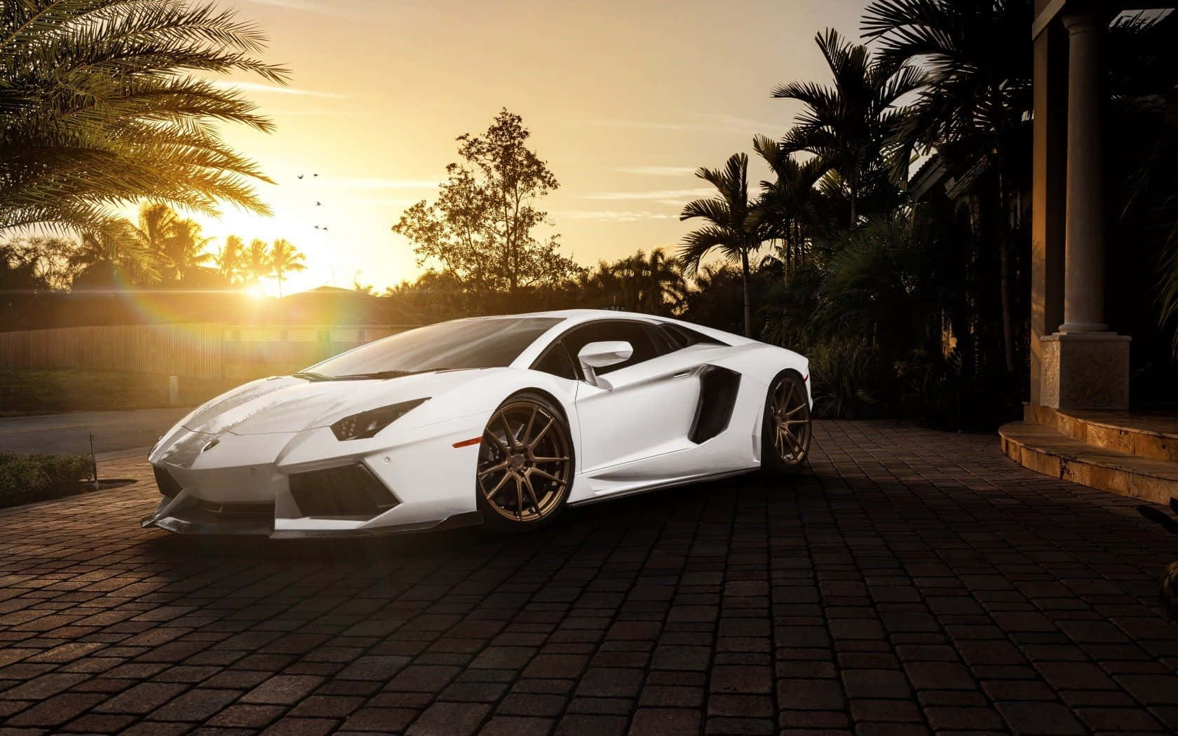 Cool White Lamborghini Aventador At Sunset Background