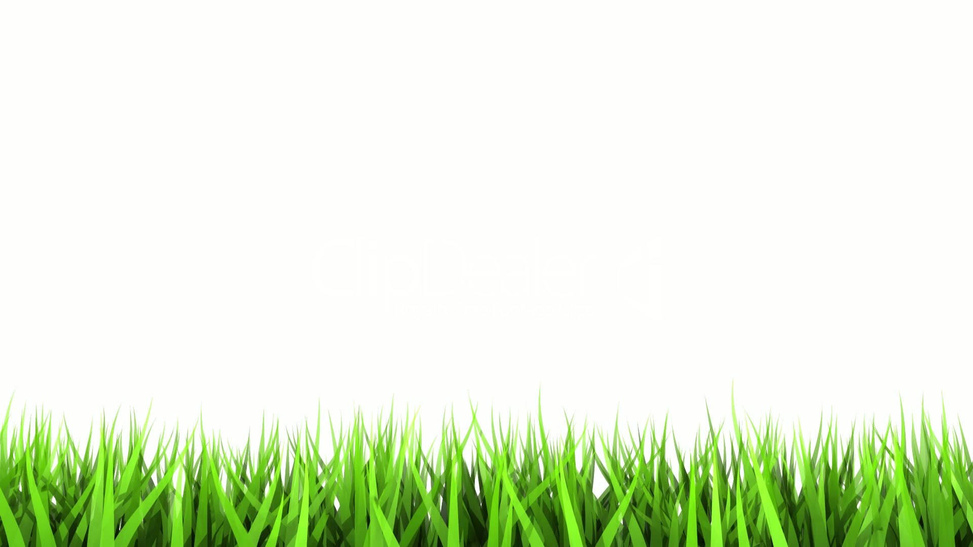 Cool White Over Grass Background