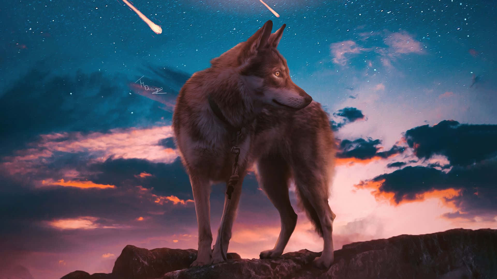 Cool Wolf Aesthetic Shooting Stars